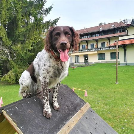 Erlebnis-Hotel-Appartements Latschach ober dem Faakersee Exteriör bild