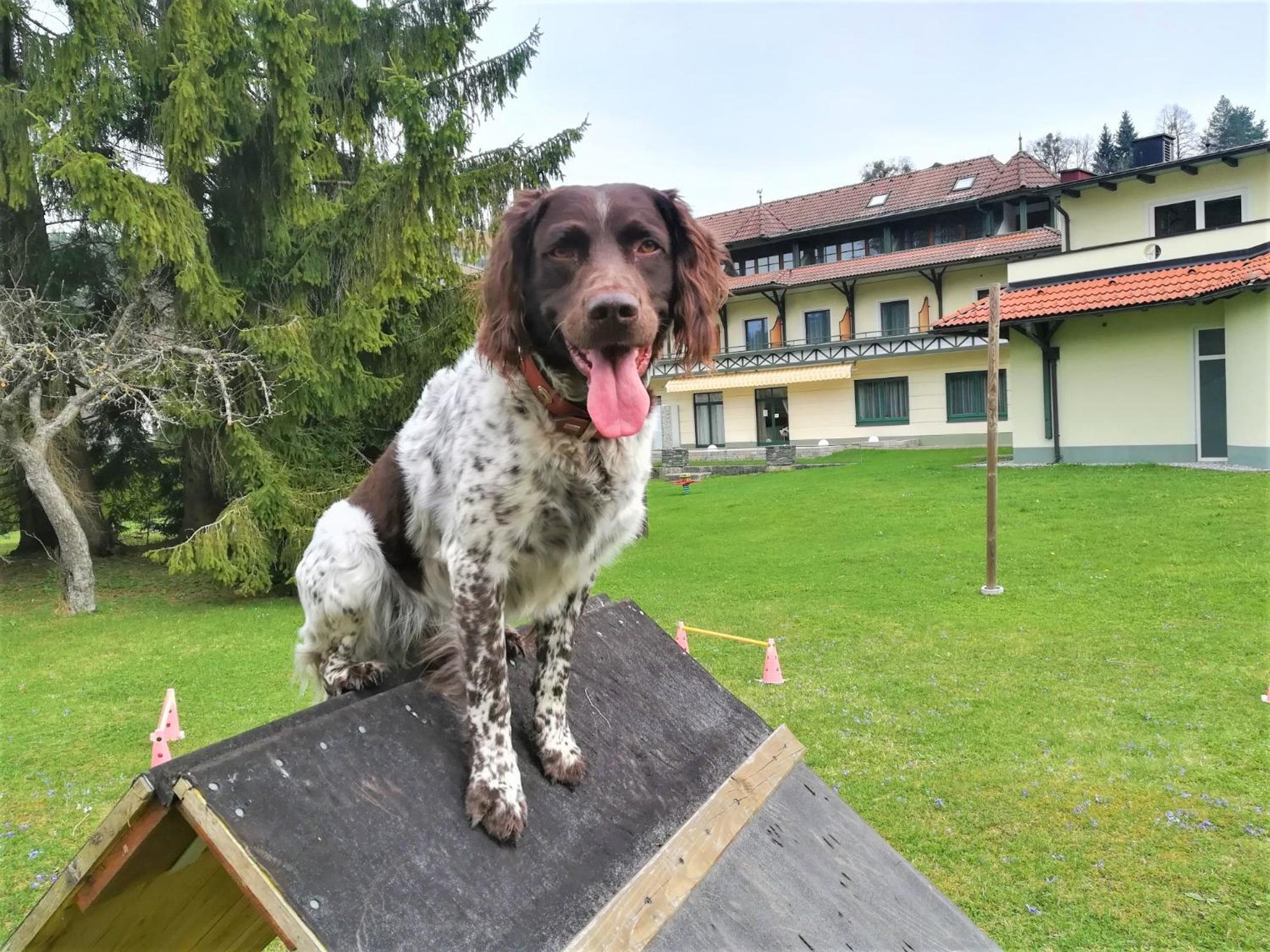 Erlebnis-Hotel-Appartements Latschach ober dem Faakersee Exteriör bild